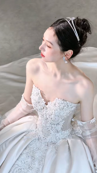 Timeless Ball Gown Starpless Satin Tulle Applique With Veil Long Wedding Dresses