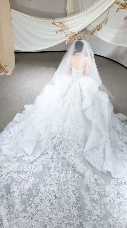 Timeless White Ball Gown Starpless Tulle Lace With Veil Long Wedding Dresses