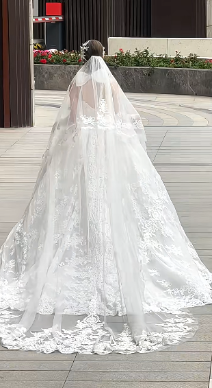 Sweet Ball Gown Strapless Tulle Lace With Sleeves Veil Long Wedding Dresses