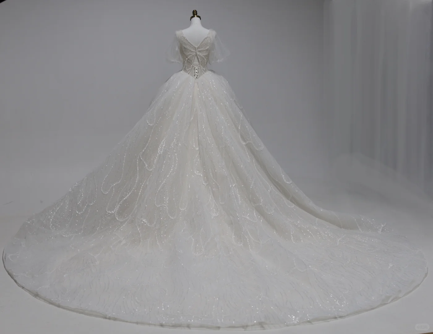 Classy Ball Gown V Neck Tulle Sequin Short Sleeves Long Wedding Dresses