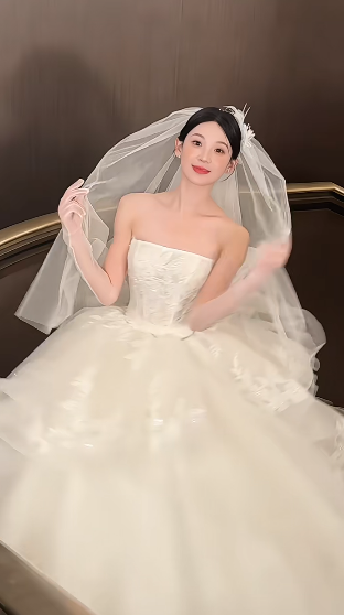 Dreamy Ball Gown Strapless White Tulle Lace With Gloves Veil Long Wedding Dresses