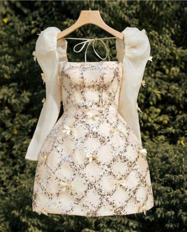 Elegant A line Long Sleeves Short Organza Homecoming Dress 20th Birthday Outfits