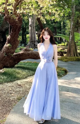 Elegant A Line Halter Chiffon Long Prom Dress, Evening Dress