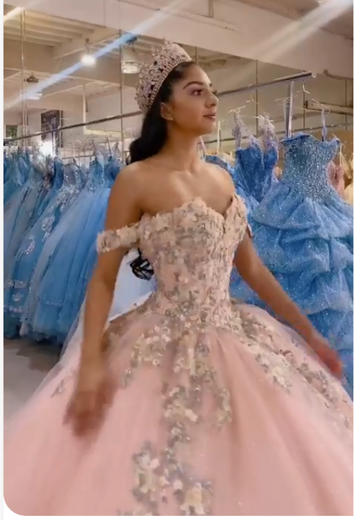 Beautiful with Floral Ball Gown Pink Sweet 16 Dress Princess Tulle Dress