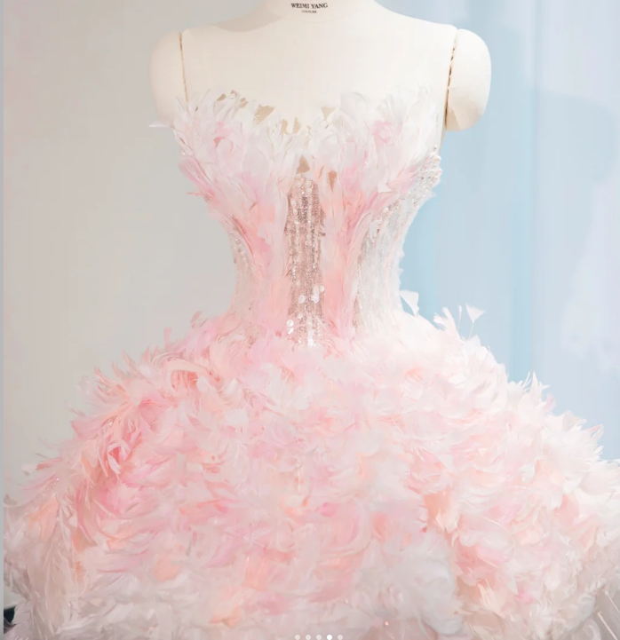 Sweet Pink Princess Tulle Feathers Short Birthday Dress Homecoming Dress