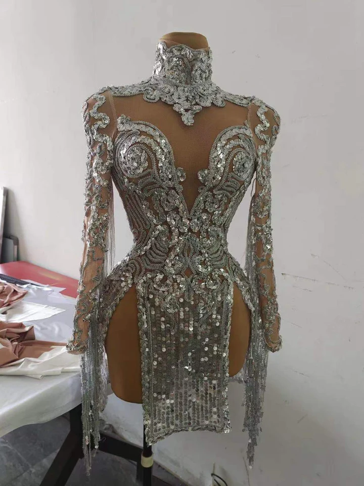 Shining Silver Sequins Fringes Dress Costume Sexy Party Dress