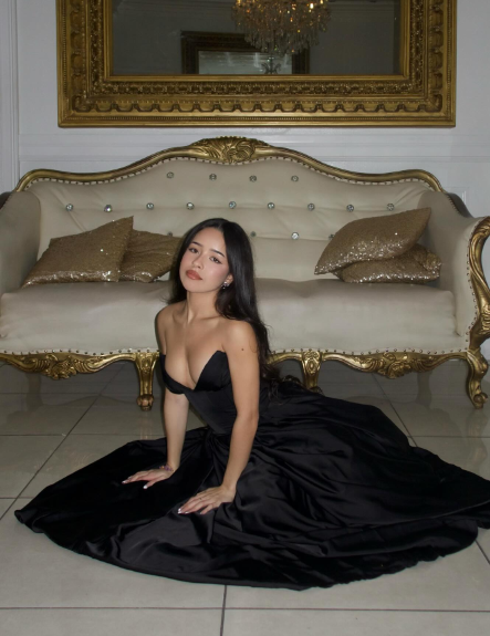 Elegant Black A-line Strapless Deep V-neck Satin Prom Dress Evening Dress
