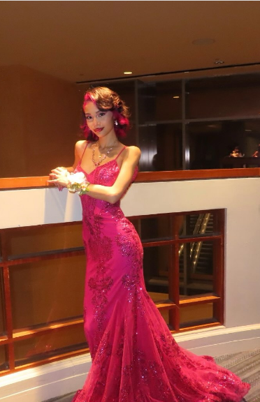 Gorgeous Rose Red Mermaid Trail Deep V Strap Sequined Long Prom Dress Evening Dress