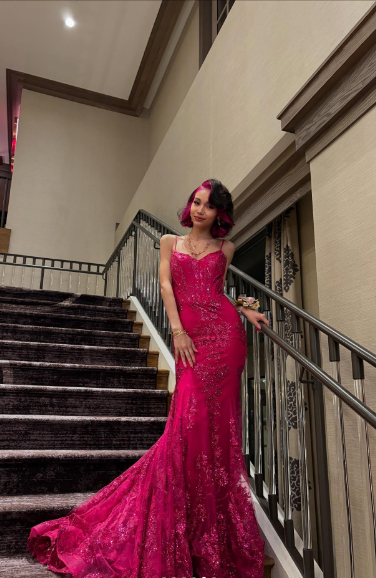 Gorgeous Rose Red Mermaid Trail Deep V Strap Sequined Long Prom Dress Evening Dress