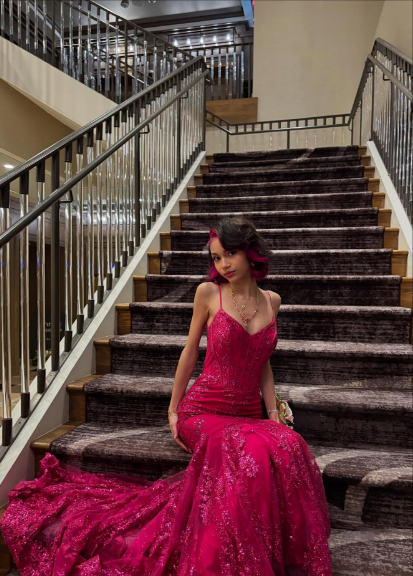 Gorgeous Rose Red Mermaid Trail Deep V Strap Sequined Long Prom Dress Evening Dress