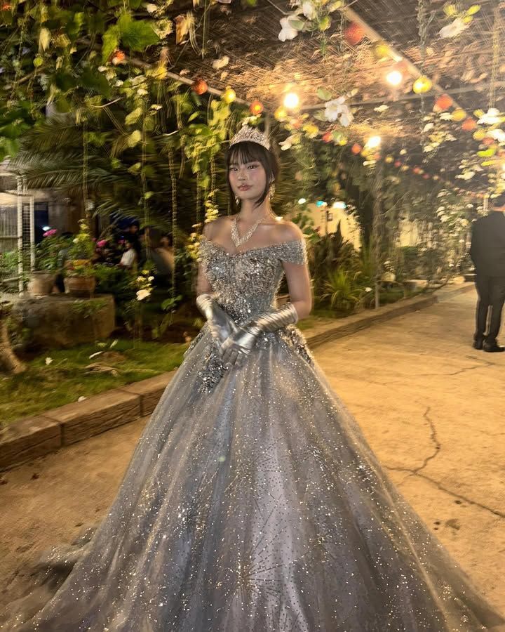 Dreamy Princess Silver-Gray Off-Shoulder Sequined Tulle Ball Gown Evening Dress Sweet 16 Dress