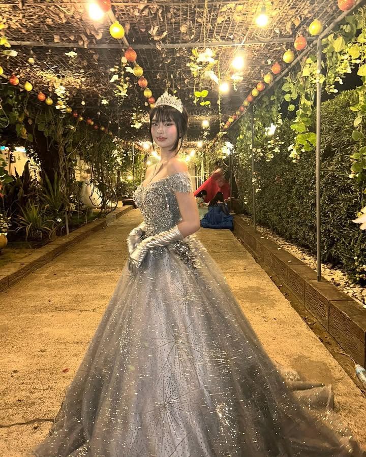 Dreamy Princess Silver-Gray Off-Shoulder Sequined Tulle Ball Gown Evening Dress Sweet 16 Dress