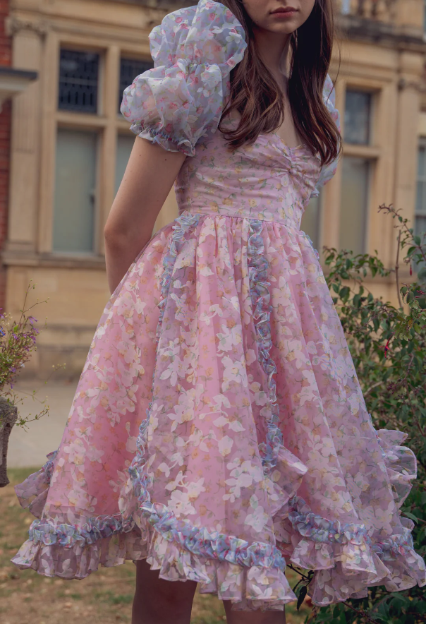 Princess Print Short Sleeve Pink Tulle A-Line Birthday Skirt Homecoming Dress