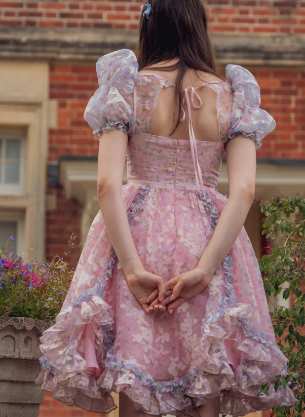 Princess Print Short Sleeve Pink Tulle A-Line Birthday Skirt Homecoming Dress