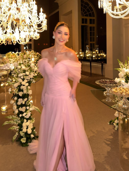 Elegant Pink A-line Trailing Off-shoulder Slit Tulle Long Prom Dress Evening Dress