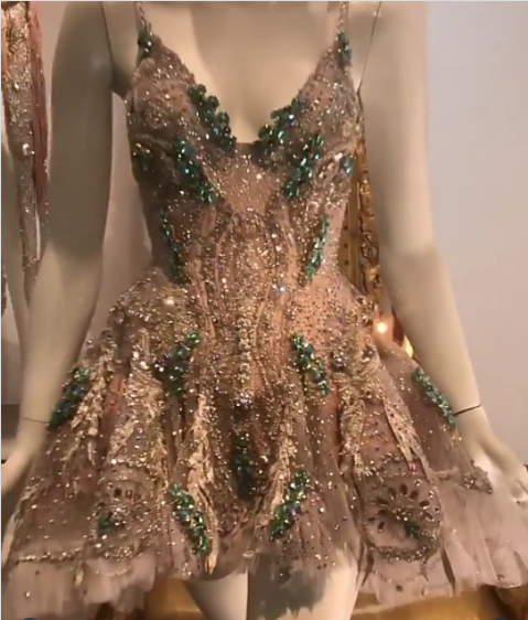 Luxury Champagne Gold Deep V-Neck Strap Diamond Mesh A-Line Birthday Dress Homecoming
