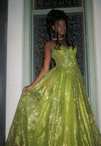 Glamorous Bright Green A-Line Spaghetti Strap Deep V Sequin Tulle Long Prom Dress Evening Dress