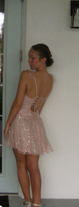 Sweet Pink Square Neck Sequined Back Tie Tulle A-line Birthday Party Homecoming Dress