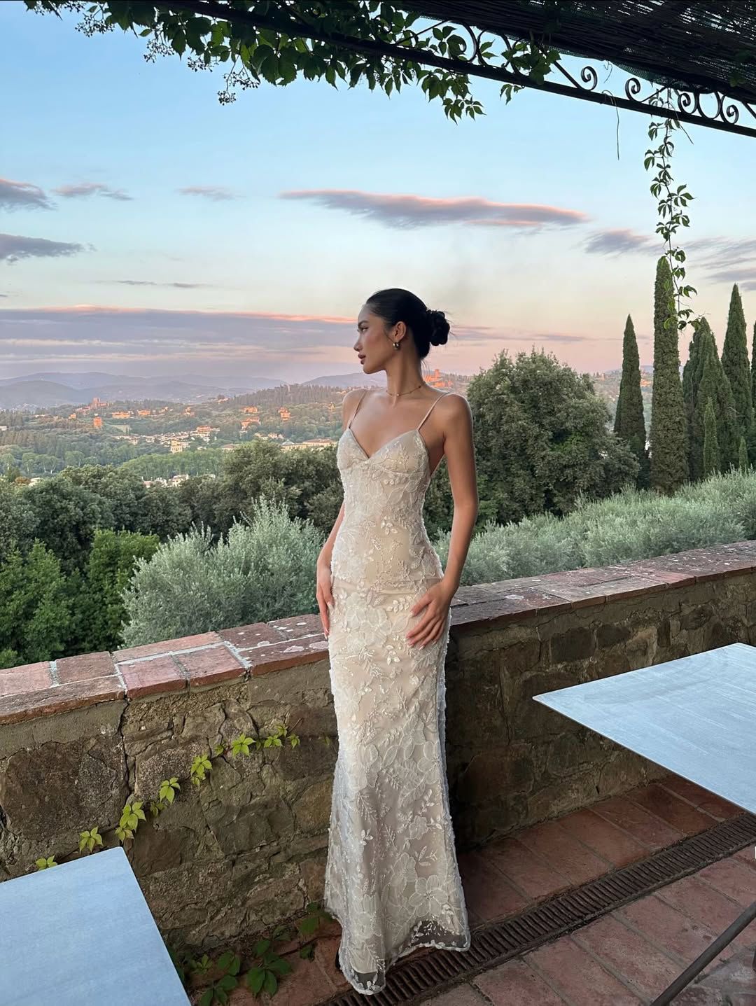 French Elegant Champagne Apricot Mermaid Spaghetti Strap Deep V-Neck Embroidered Lace Long Prom Dress Evening Dress