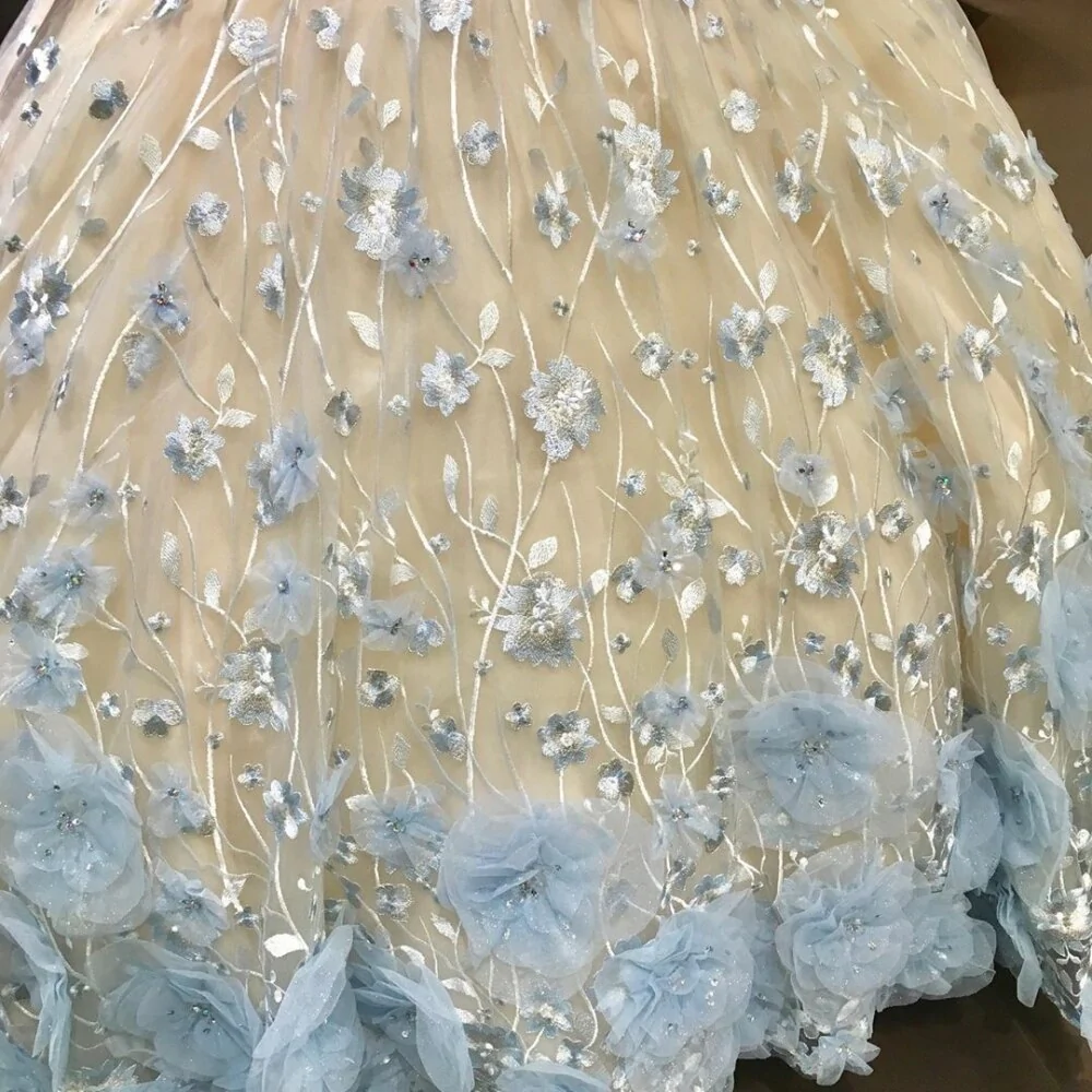 3D Flowers Sequined Quinceanera Dresses Sweet 16 Dress Light Sky Blue Flowers Ball Gown