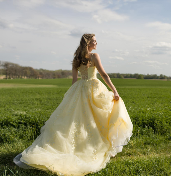 Sweet Yellow A-line Tube Top Embroidered Tulle Long Prom Dress Evening Dress