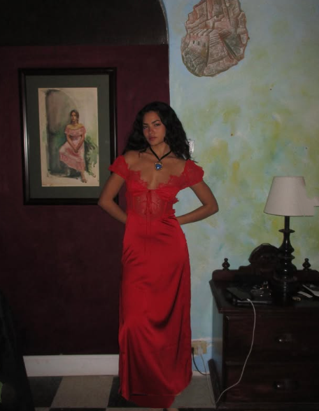 Sexy Mermaid V Neckline Red Lace Long Evening Dress Prom Dresses