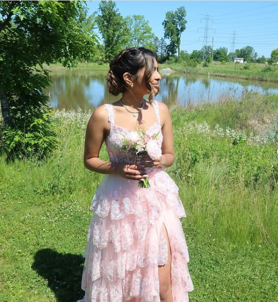 Pretty A-Line Straps Blush Pink Lace Long Prom Dresses Formal Evening Dress
