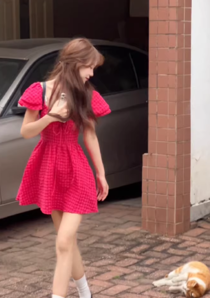 French-style 2026 New Pretty Women's Summer Short Dress