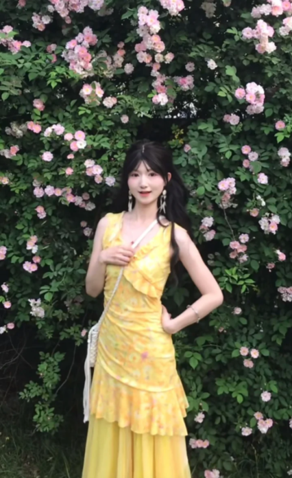 New Pretty French-style Elegant Summer Women's Long Dress