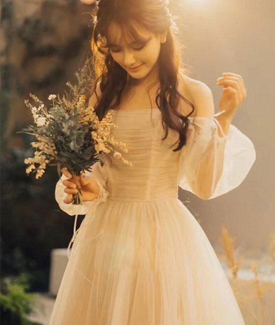 Champagne tulle long prom dress, champagne tulle evening dress